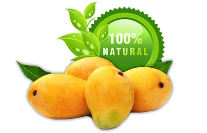 Facility photo