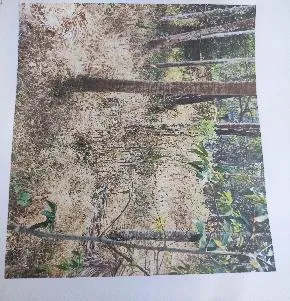 Facility photo